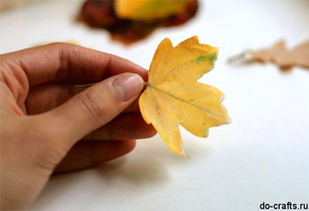 Осенний гербарий с использованием солёного теста
